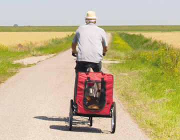 Fahrradzubehr