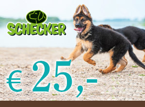 Waren-Gutschein 25,- CHF