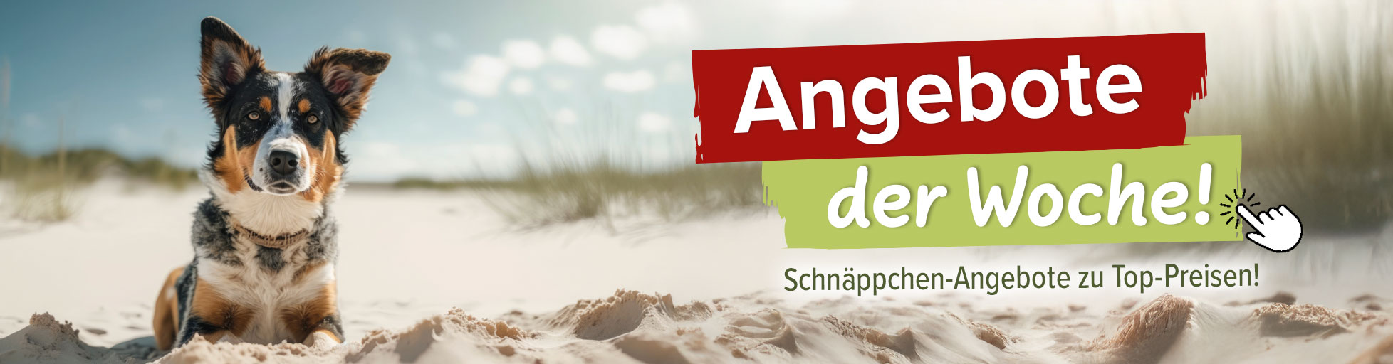 % Angebote der Woche %