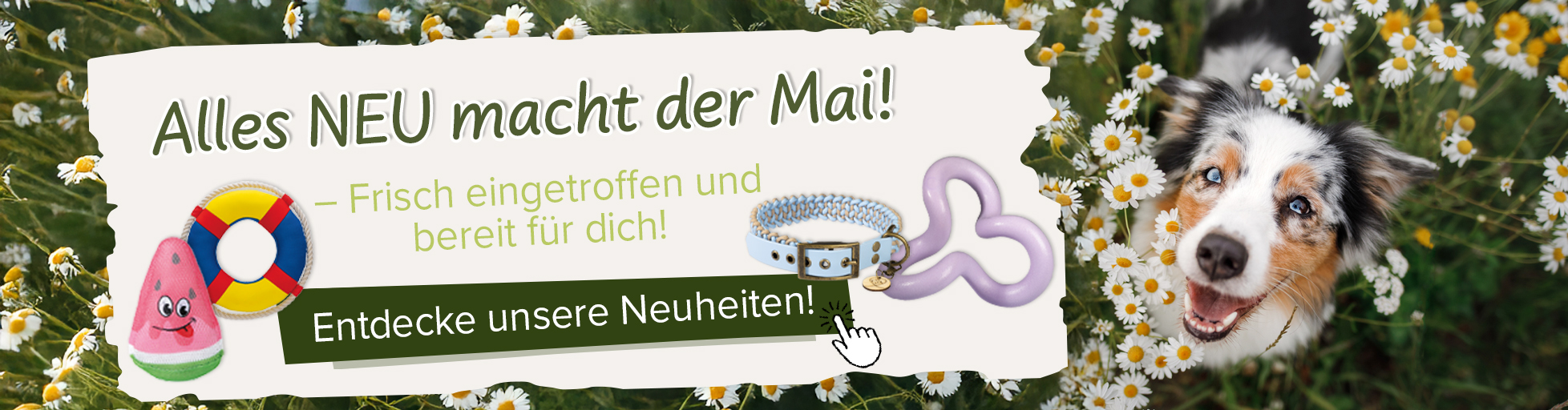 Alles NEU macht der Mai