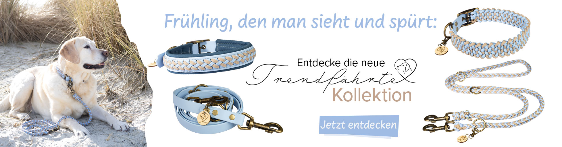 Neue Farben : Trendfhrte