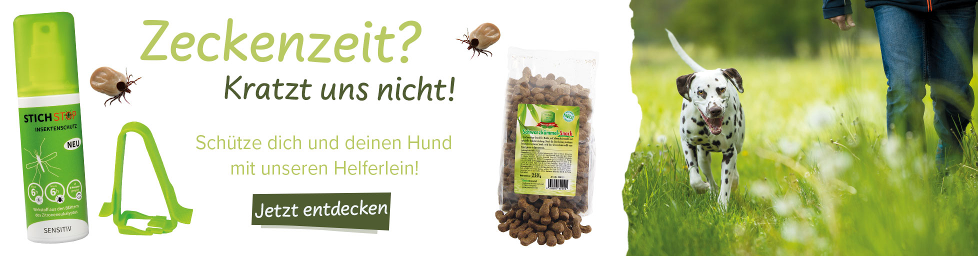 Zeckenzeit - Unsere Helfer