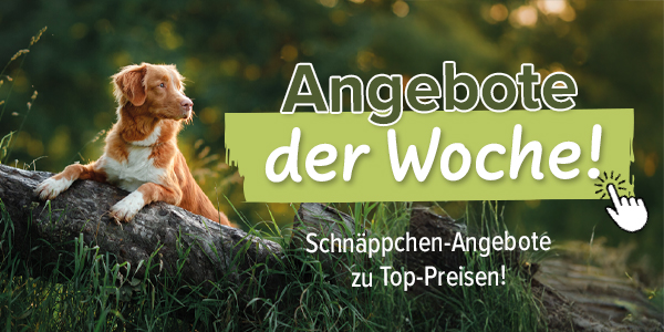% Angebote der Woche %
