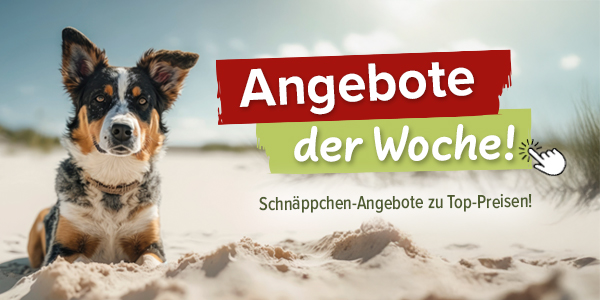 % Angebote der Woche %