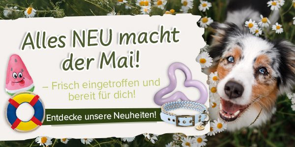 Alles NEU macht der Mai
