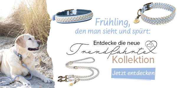 Neue Farben : Trendfhrte