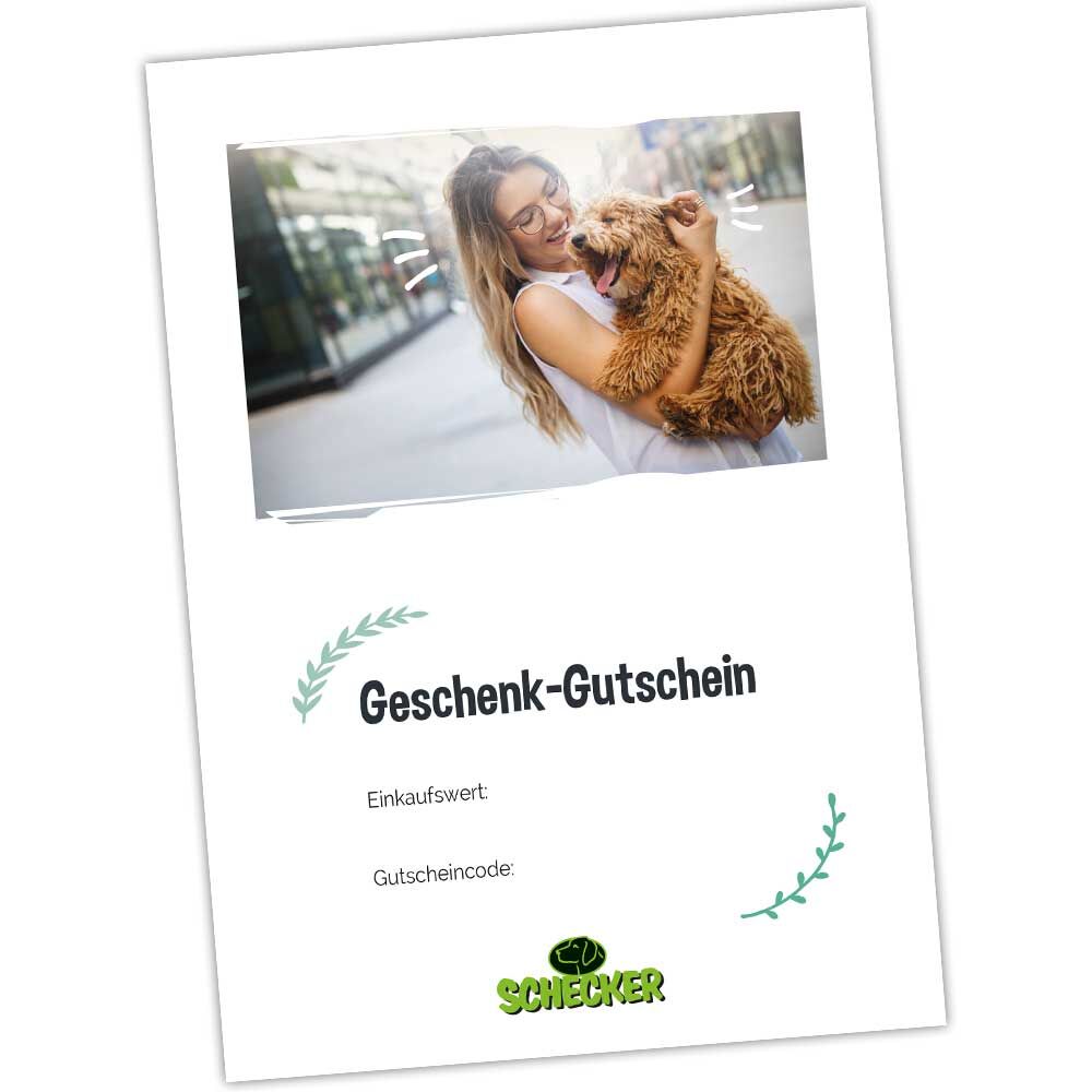 Geschenk-Gutschein zum Ausdrucken Bild 2