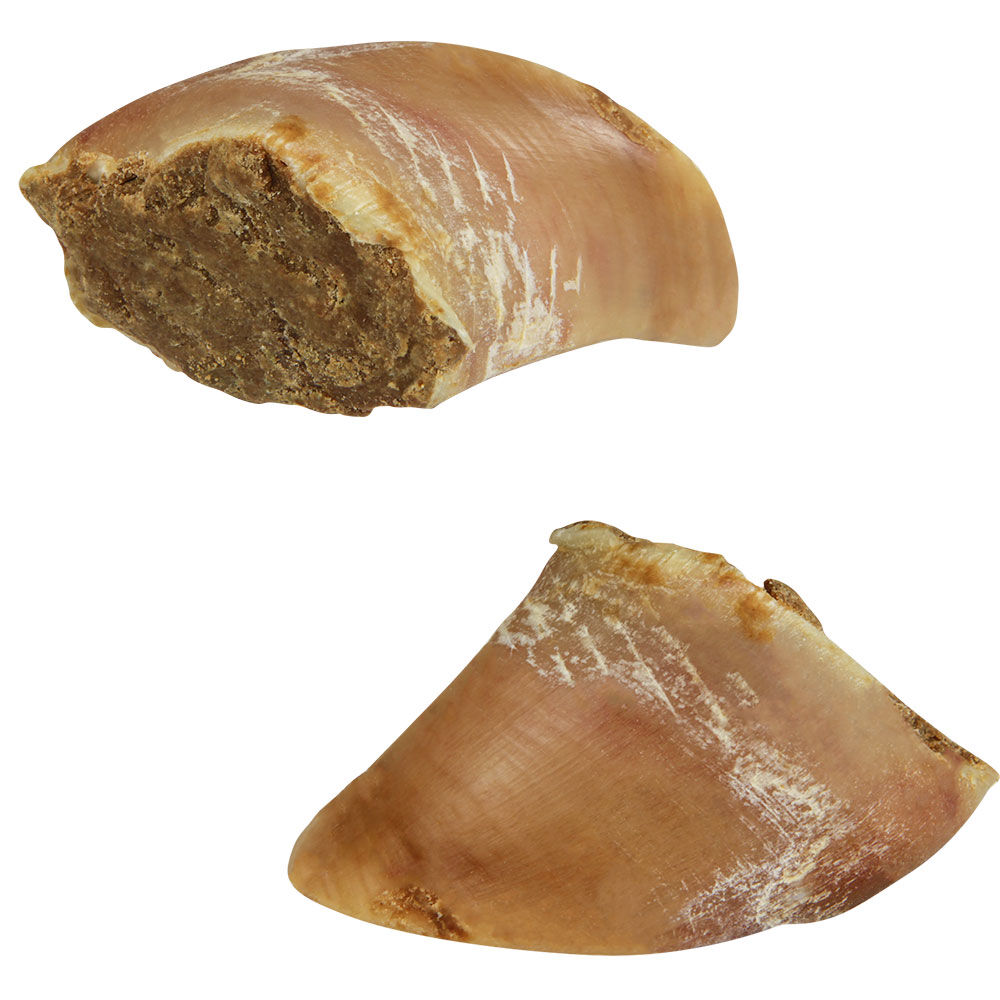 Gefüllte Kauhufe Bild 2