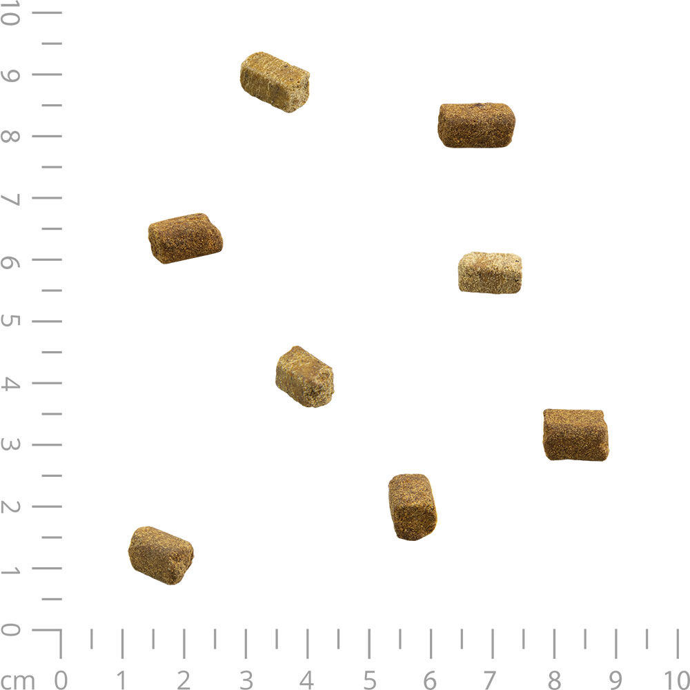 The Dog Cuisine - Kaltgepresste Hundesnacks Bild 3