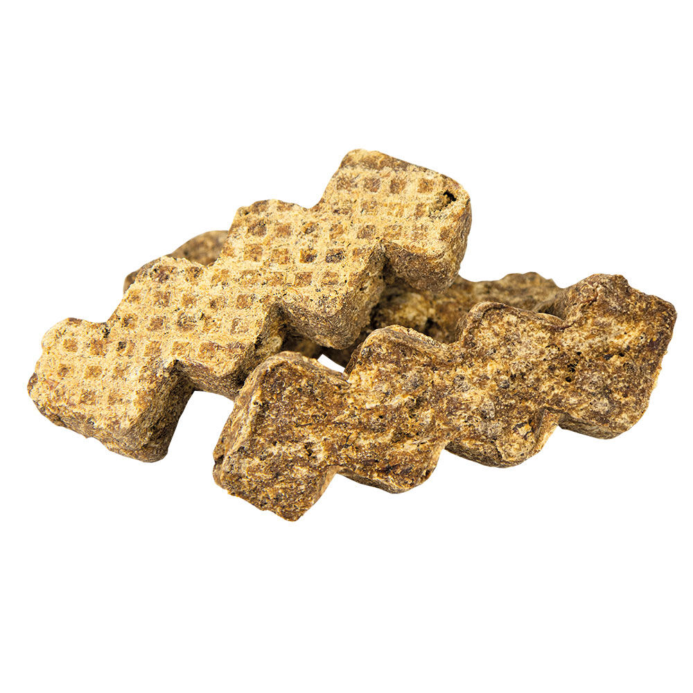 Schecker Ziggy Sticks L Bild 4