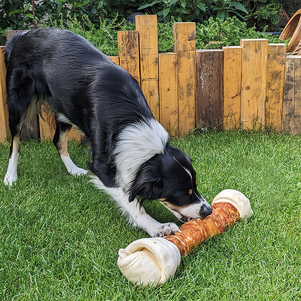 MAXI-Kausnacks Bild 2