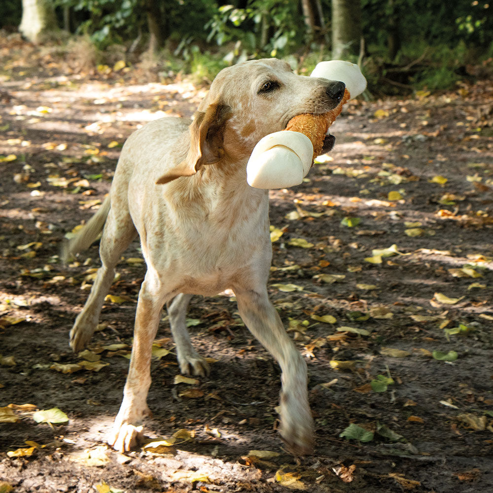 MAXI-Kausnacks Bild 3