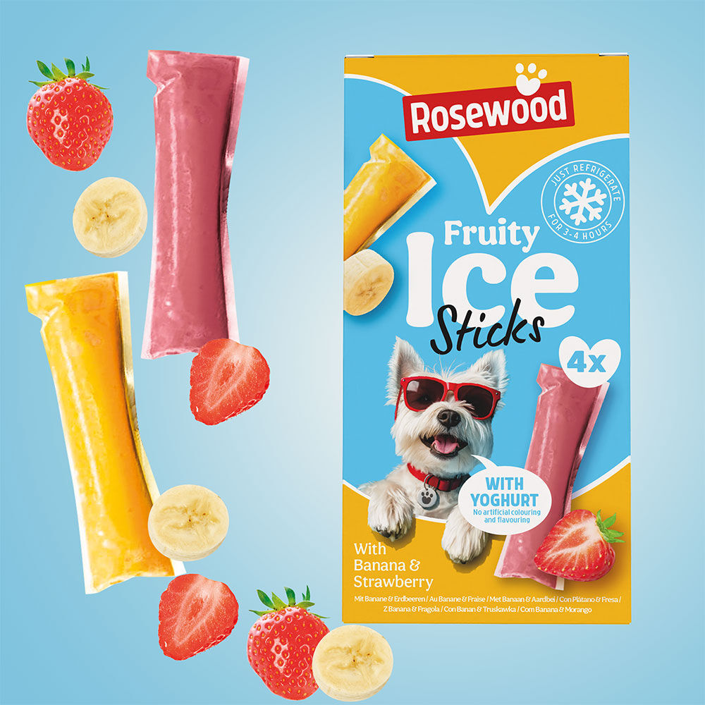 Rosewood Hundeeis Fruity Ice Sticks Bild 2
