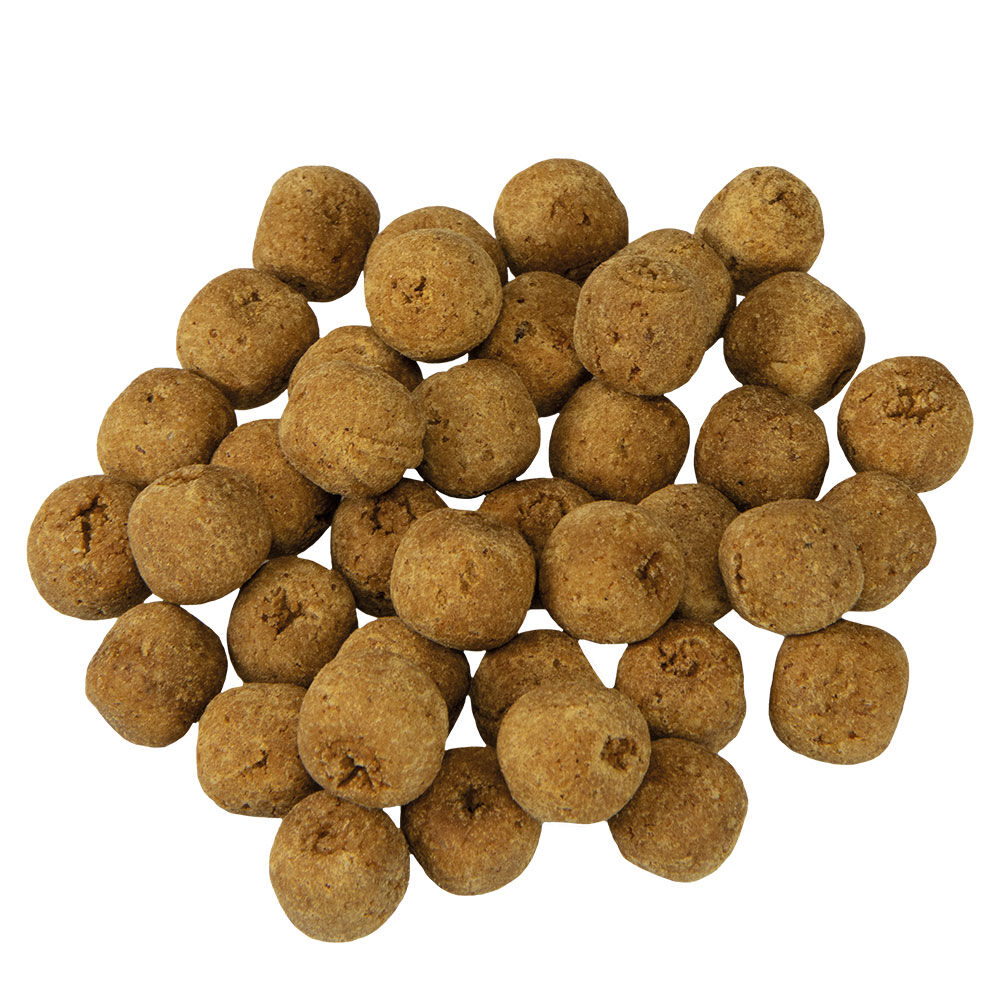Hunde-Pralinen mit Ginseng- und Gojigeschmack Bild 2