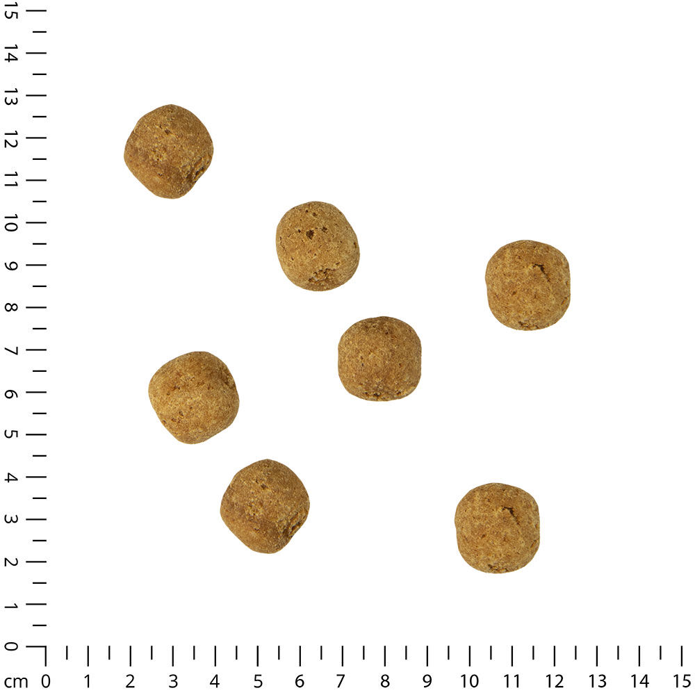 Hunde-Pralinen mit Ginseng- und Gojigeschmack Bild 4