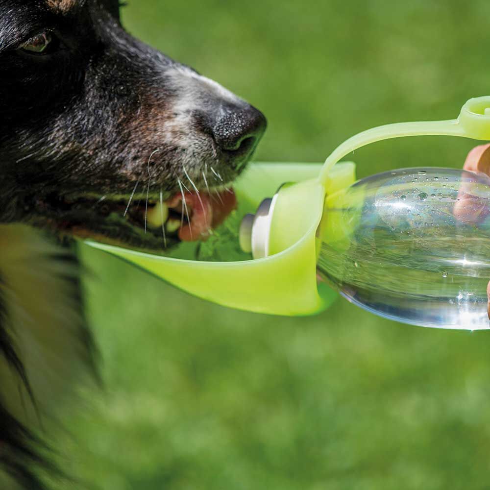 Hunde-Trinkflasche mit Silikon-Trinkblatt Bild 5
