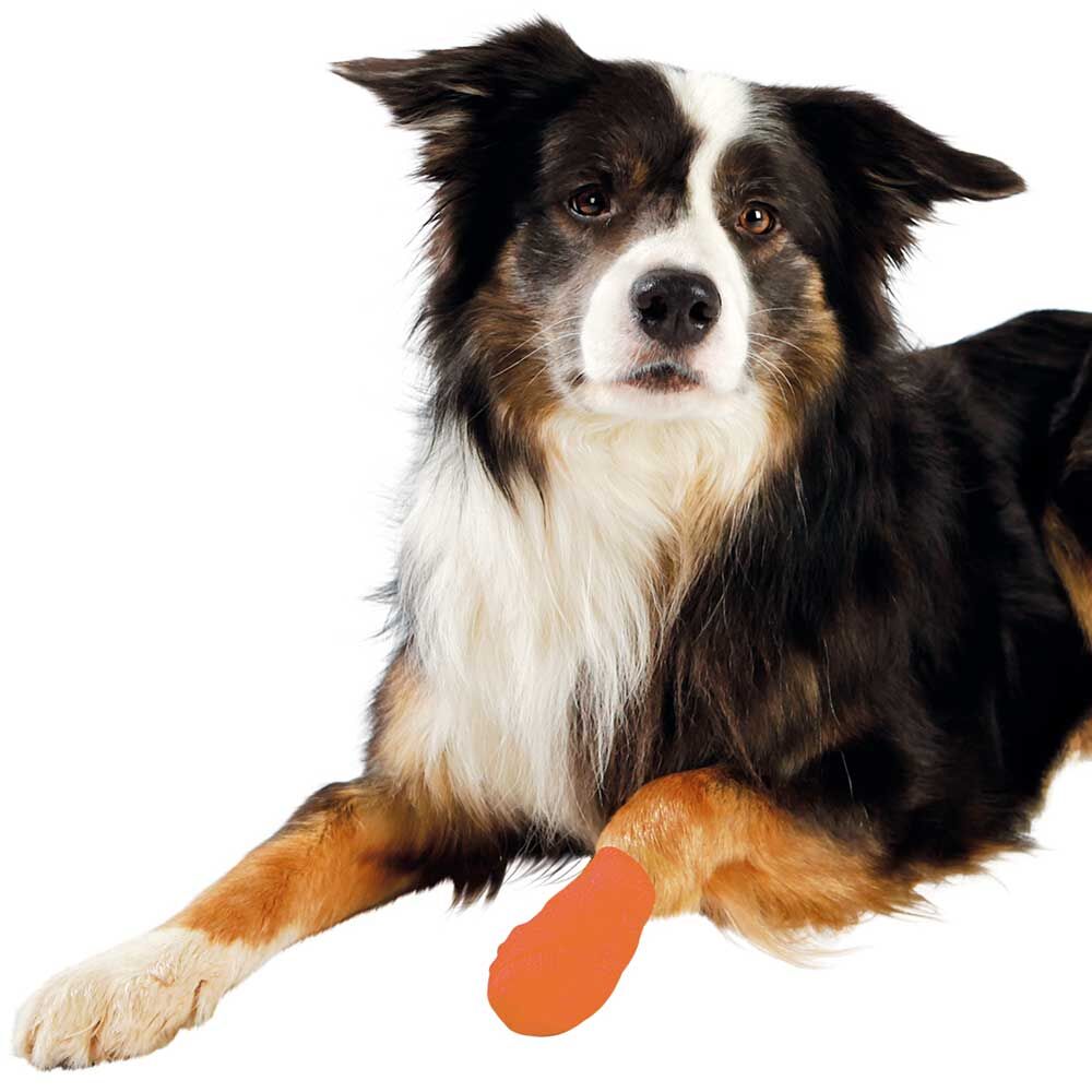 Hunde-Bandagen Anti-Knabber Bild 2