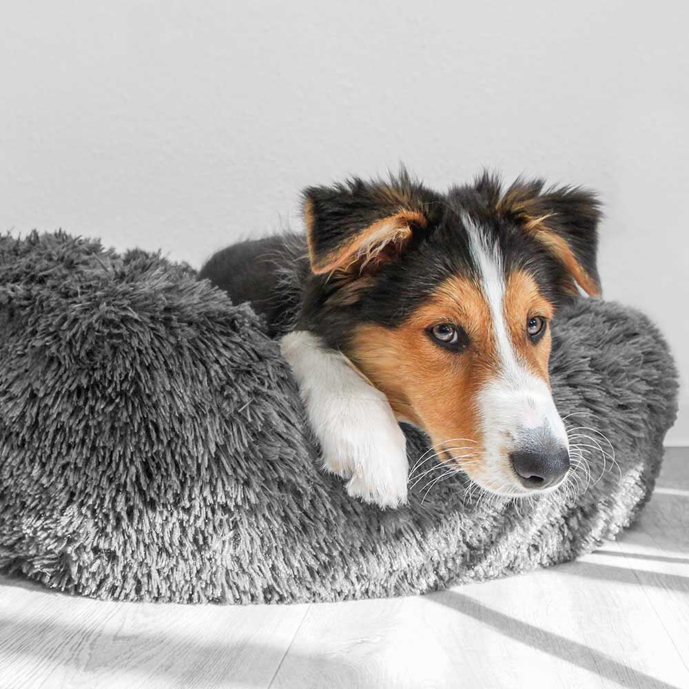 Nobby Hunde-Plschbett Flauschi Bild 3