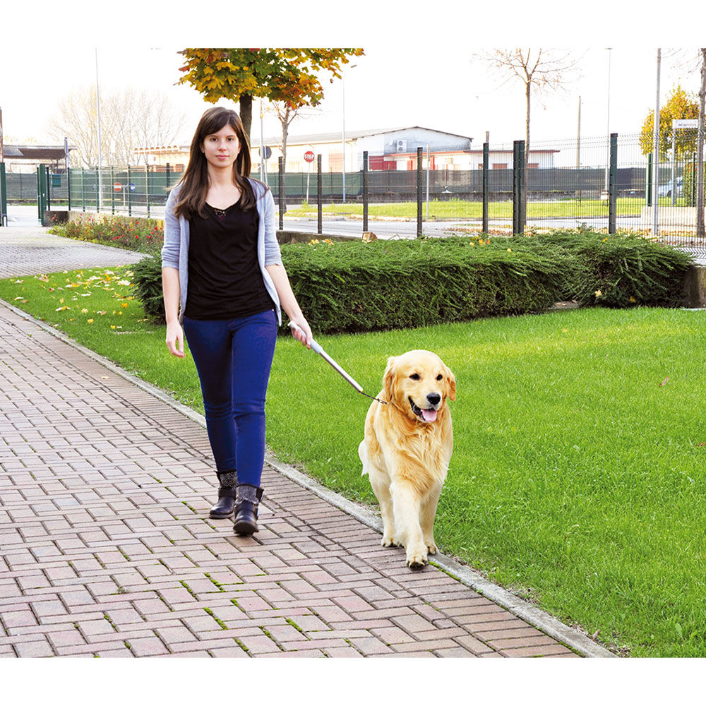 Walky-Dog Plus, die 3. Hand am Fahrrad Bild 3