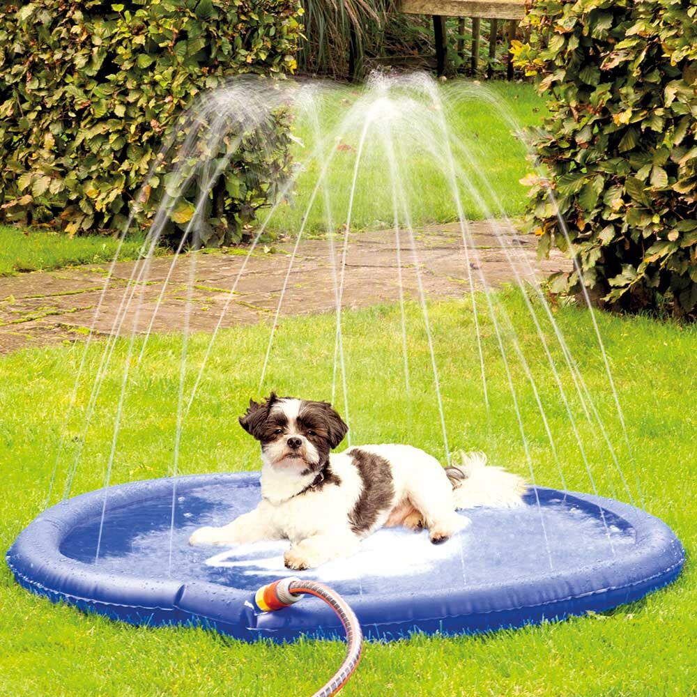 Hunde-Wasserspielmatte Splashy Mat Bild 3