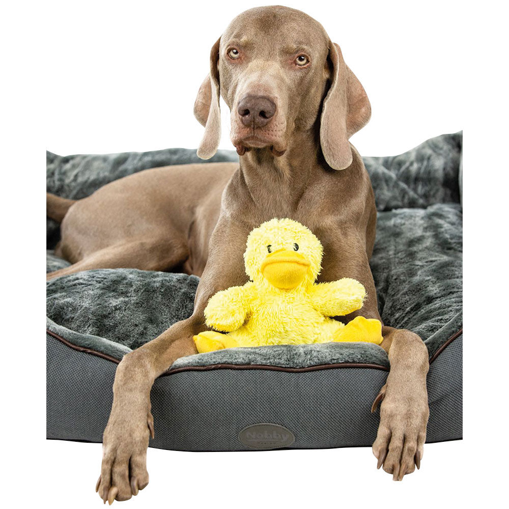 Hundespielzeug - Plschente Daggi Bild 2