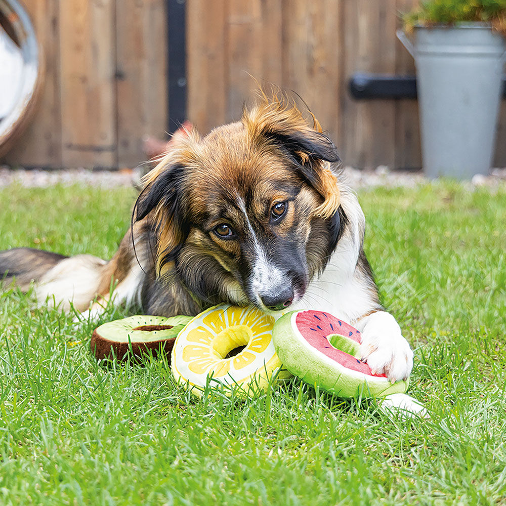 Hundespielzeug Fruity Donut Bild 3