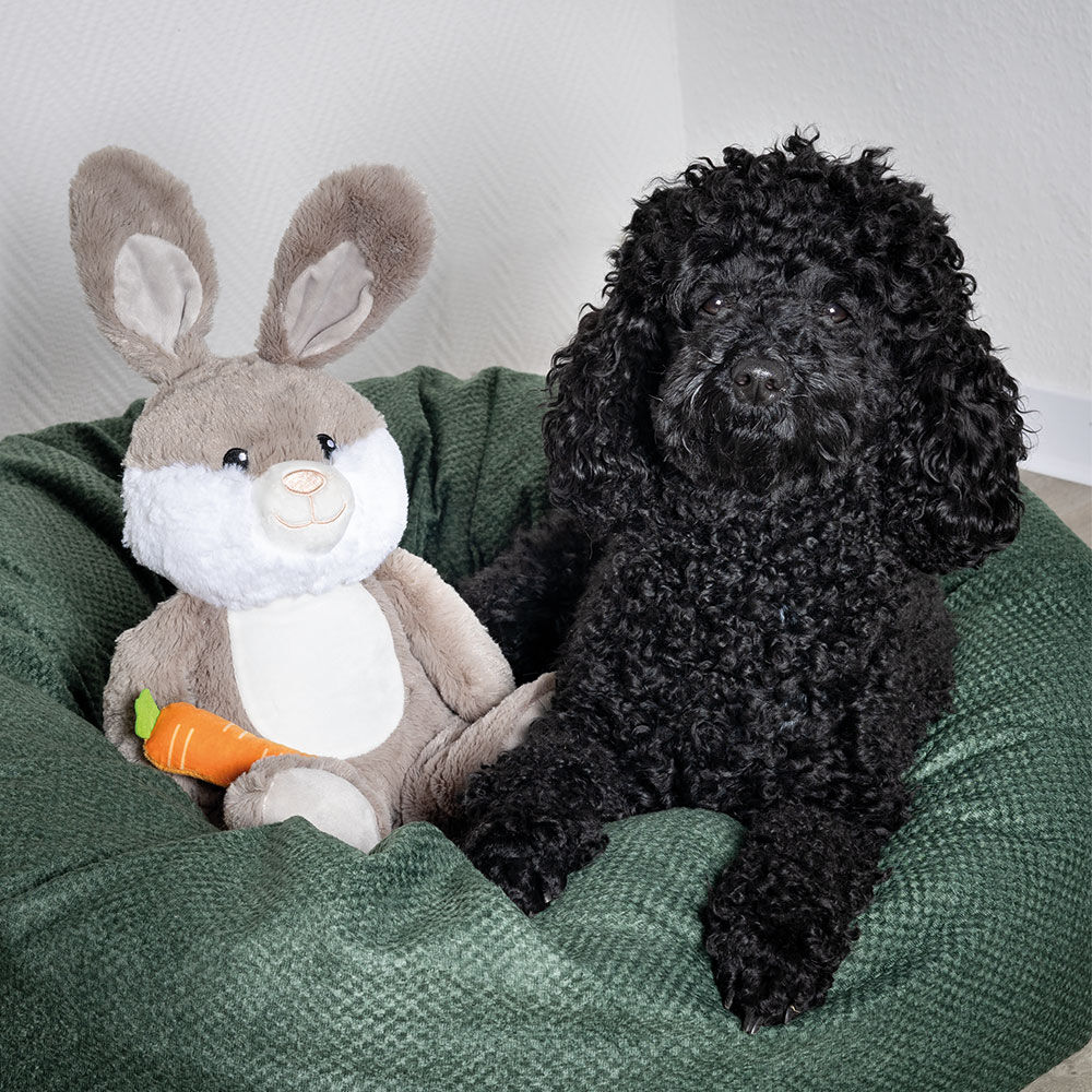 Osterhase Mhrchen Bild 2