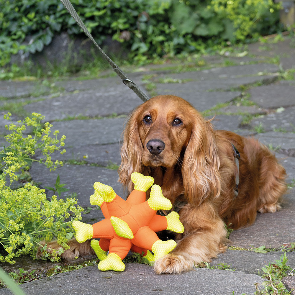 Trixie Hundespielzeug Aqua Toy Seeigel Bild 2