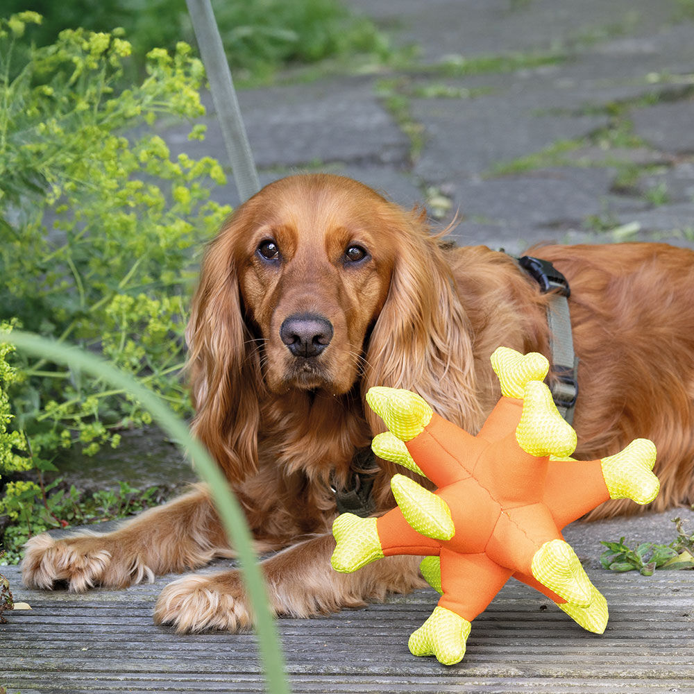 Trixie Hundespielzeug Aqua Toy Seeigel Bild 3