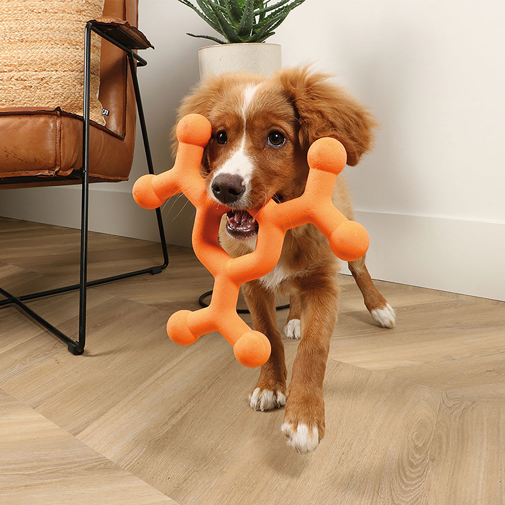 Ebi bite me Hundespielzeug Dawg Science Bild 2