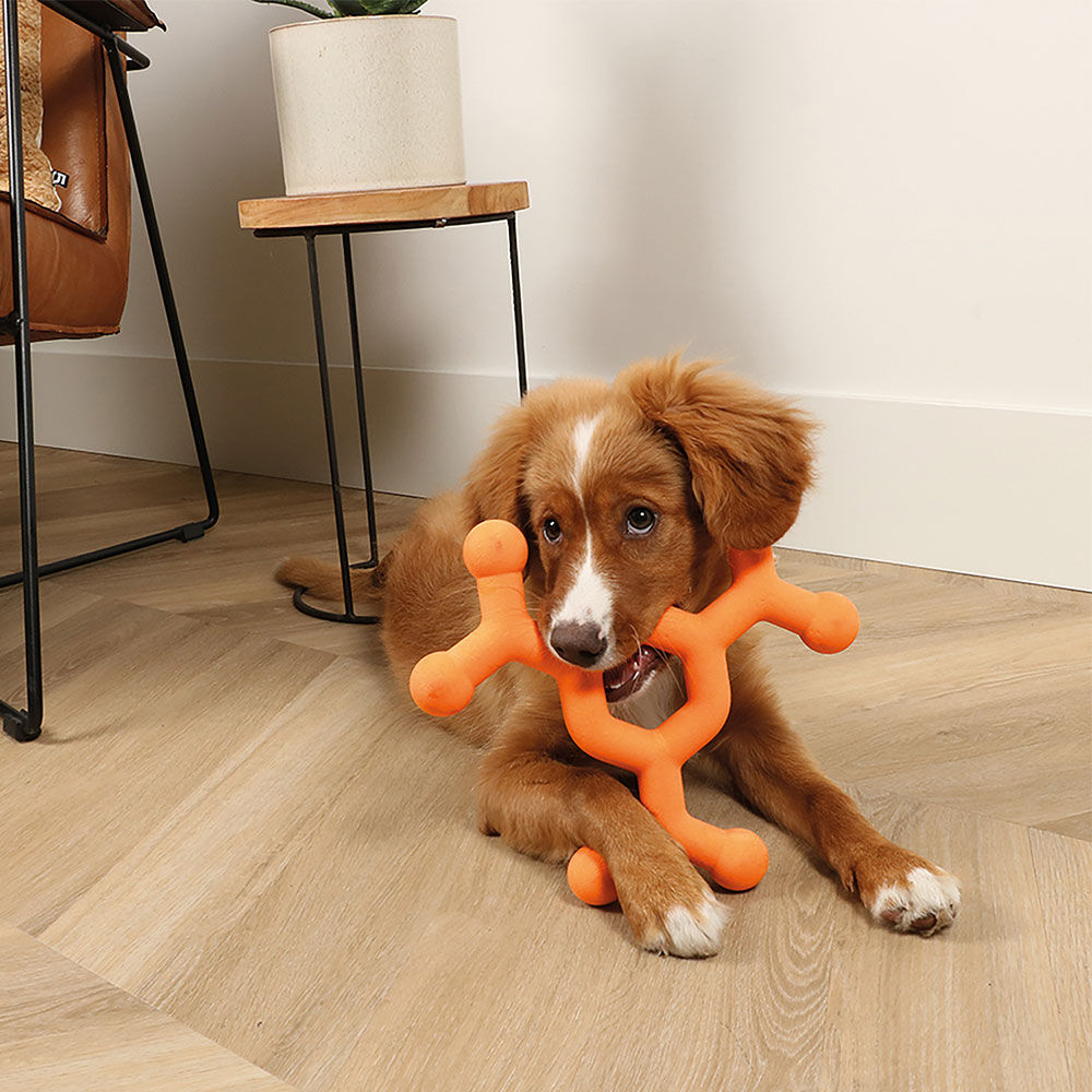 Ebi bite me Hundespielzeug Dawg Science Bild 4