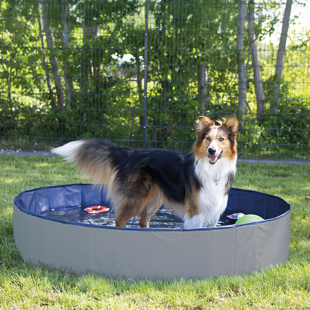 Nobby Hunde-Pool COVER mit Abdeckung Bild 2