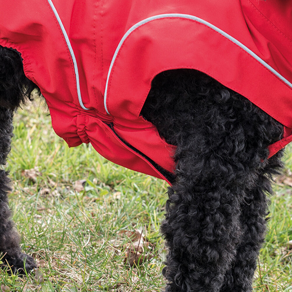 DogBite Winterjacke, gefttert - Farbe: Rot Bild 4