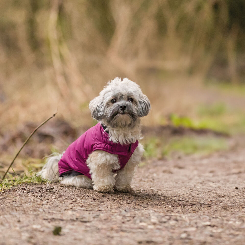 Hundemantel Arlay  Bild 3