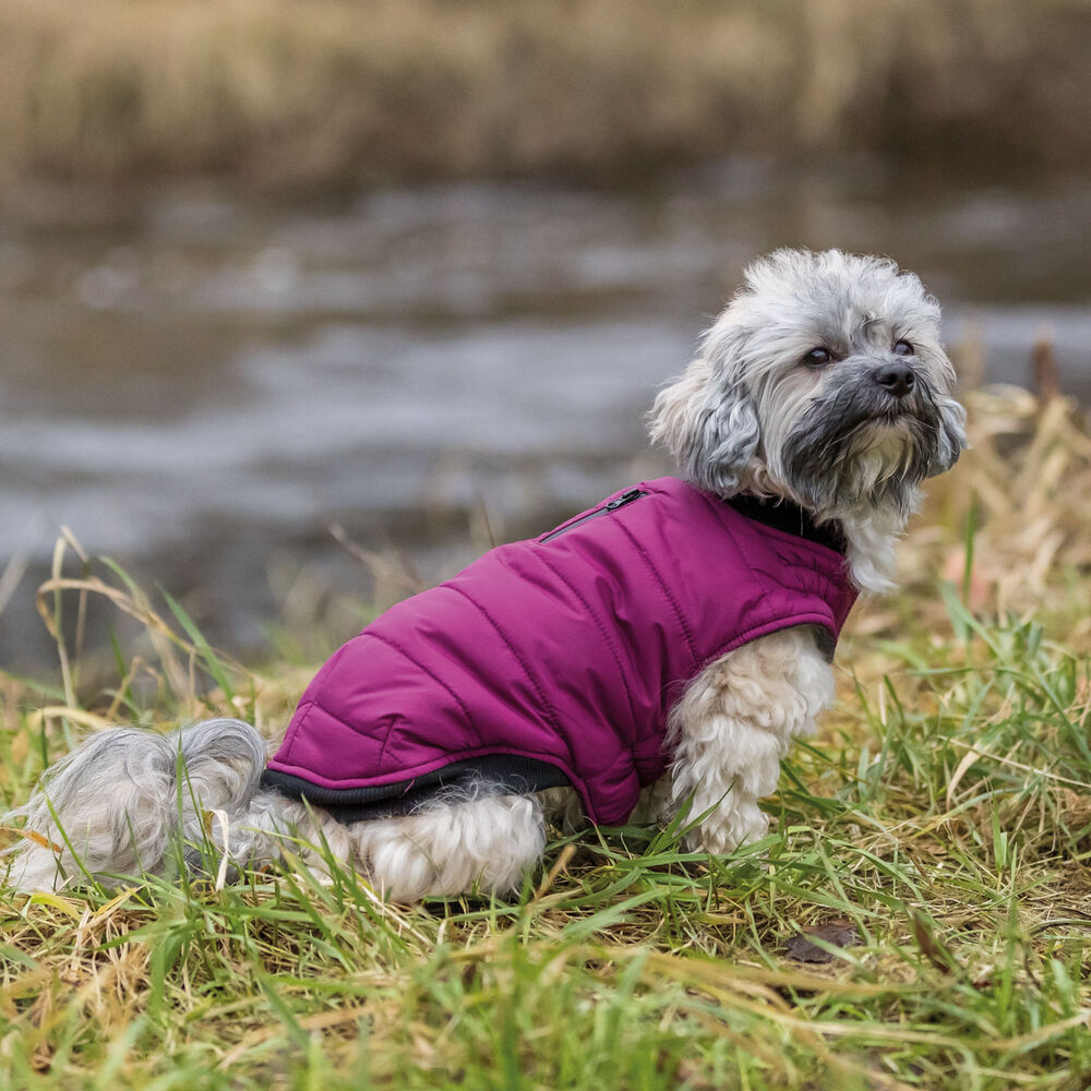 Hundemantel Arlay  Bild 4