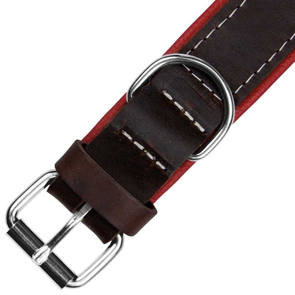 Schecker Hunde-Halsband Moorfeuer, Farbe: braun-feuerrot Bild 4