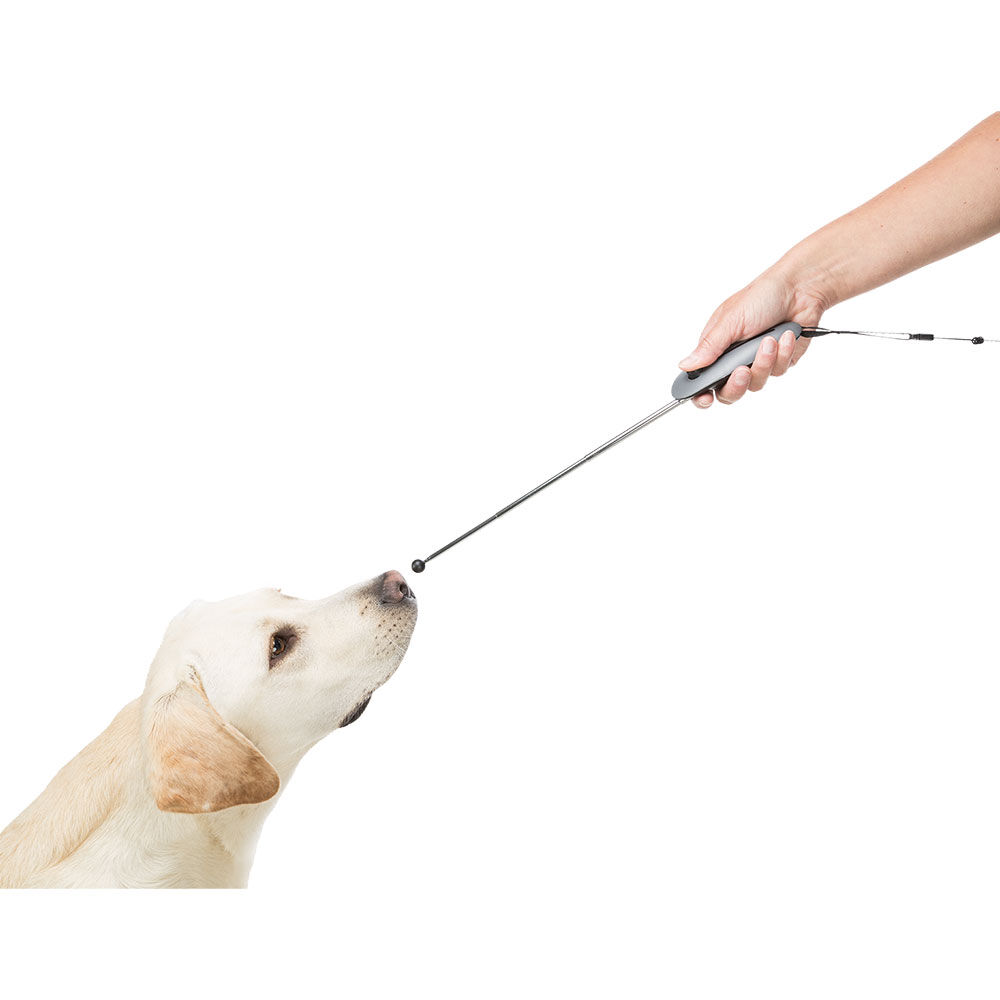 Target Stick mit Clicker Bild 4