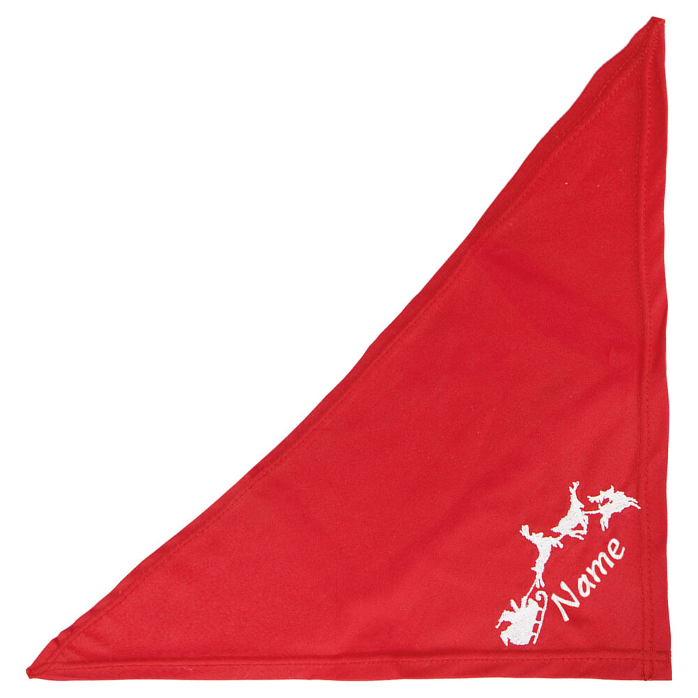 Besticktes Weihnachts-Halstuch Rentierschlitten + Name Bild 2