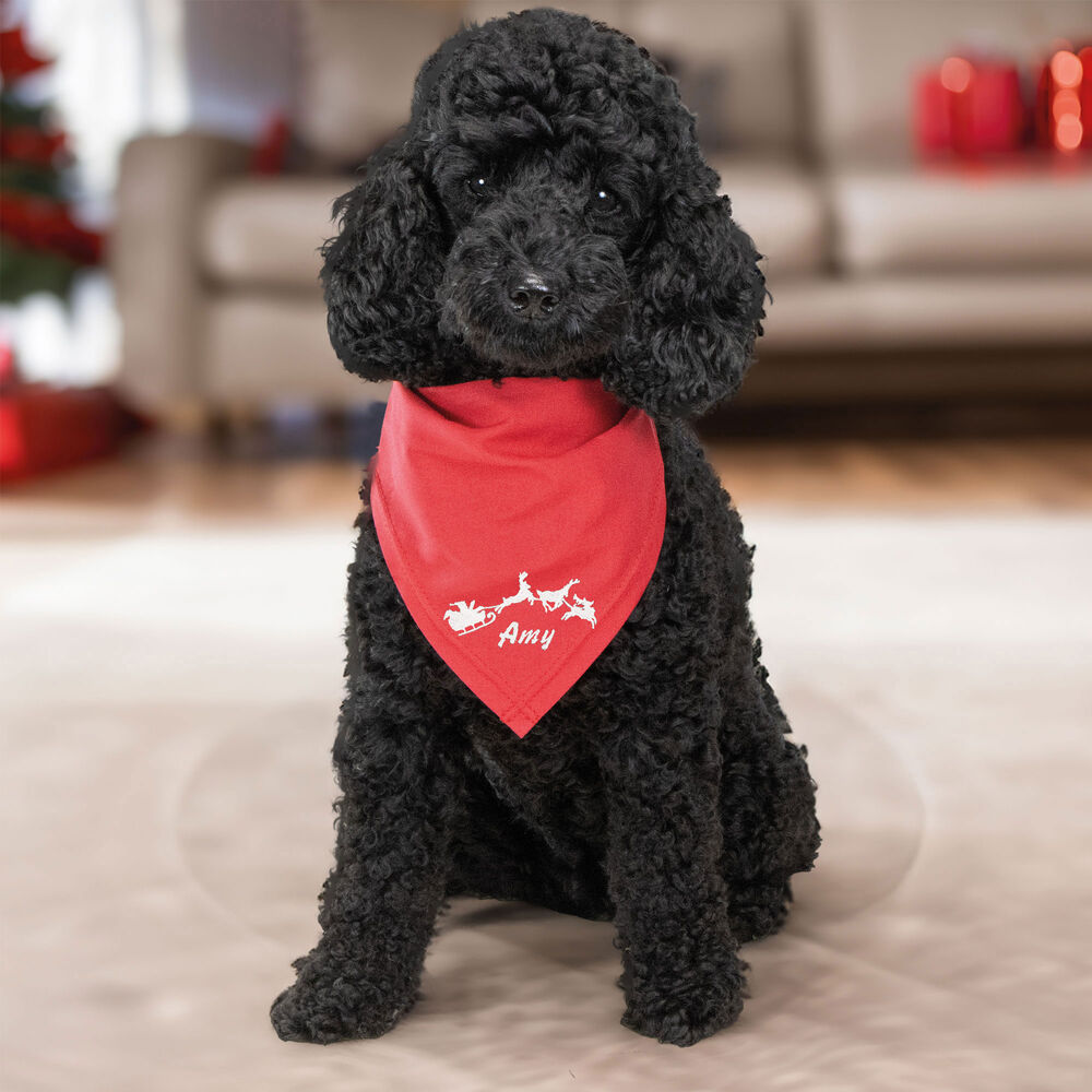 Besticktes Weihnachts-Halstuch Rentierschlitten + Name Bild 4