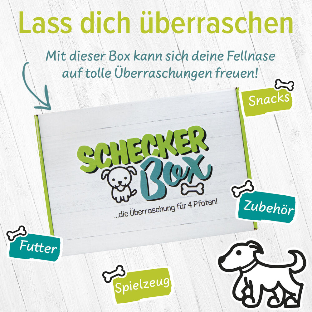 Scheckerbox Unsere Klassiker Bild 3
