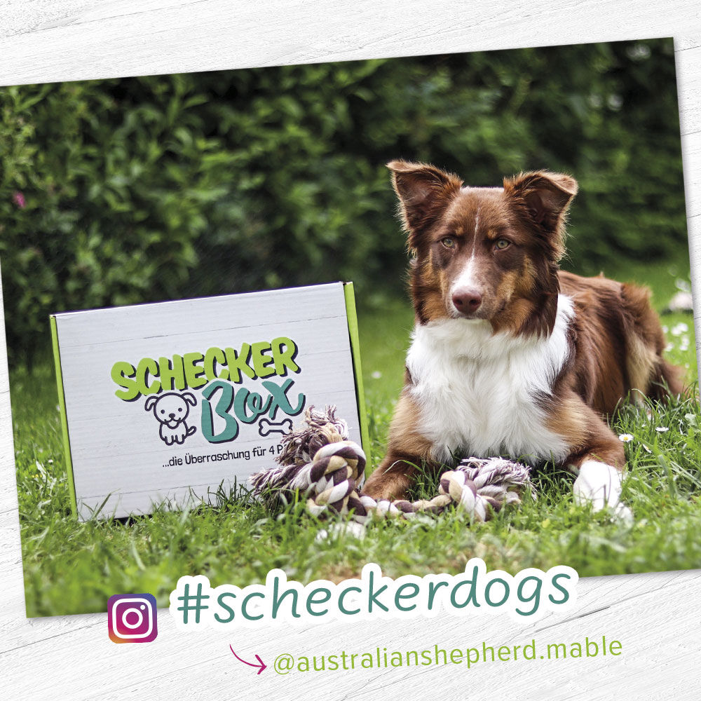 Scheckerbox Unsere Klassiker Bild 4