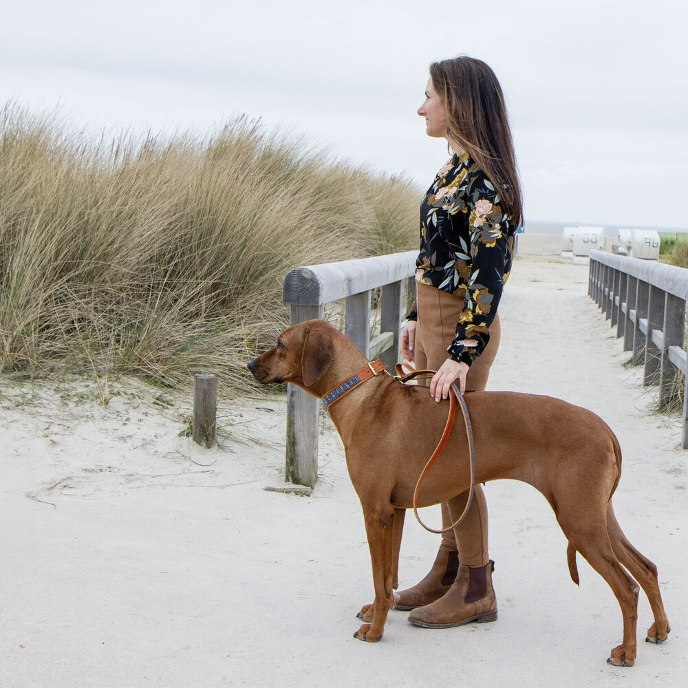 Plakkies Hunde-Lederhalsband Bild 4