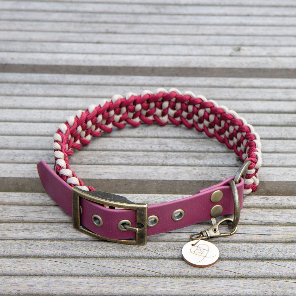 Trendfährte Hundehalsband Paracord Bild 2