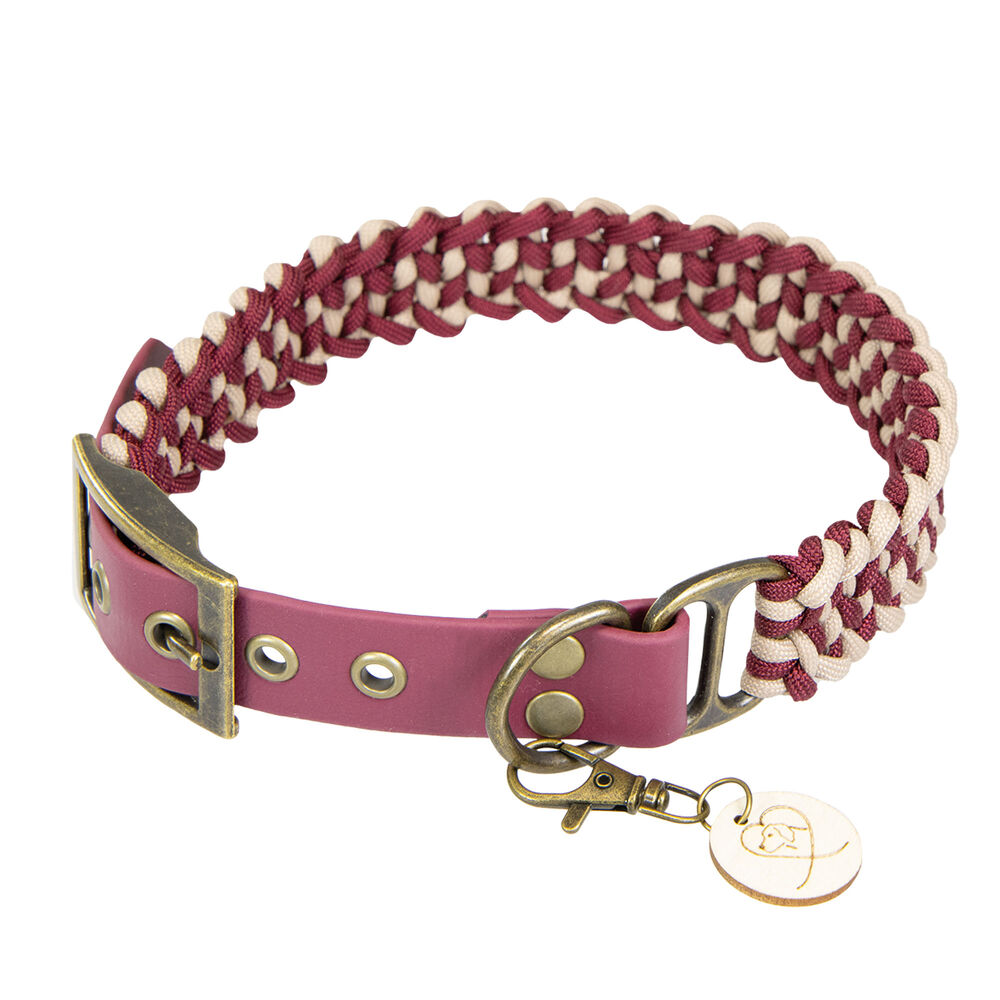 Trendfährte Hundehalsband Paracord Bild 4