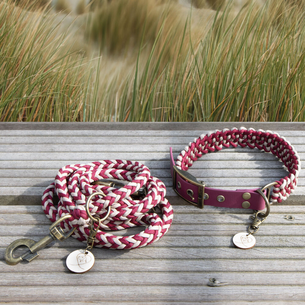 Trendfährte Hundehalsband Paracord Bild 5