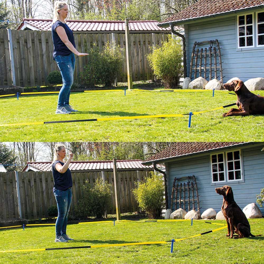 Procyon Longier-Set fr Hunde Bild 3