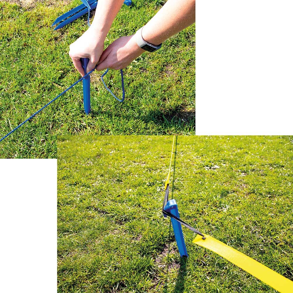 Procyon Longier-Set fr Hunde Bild 4