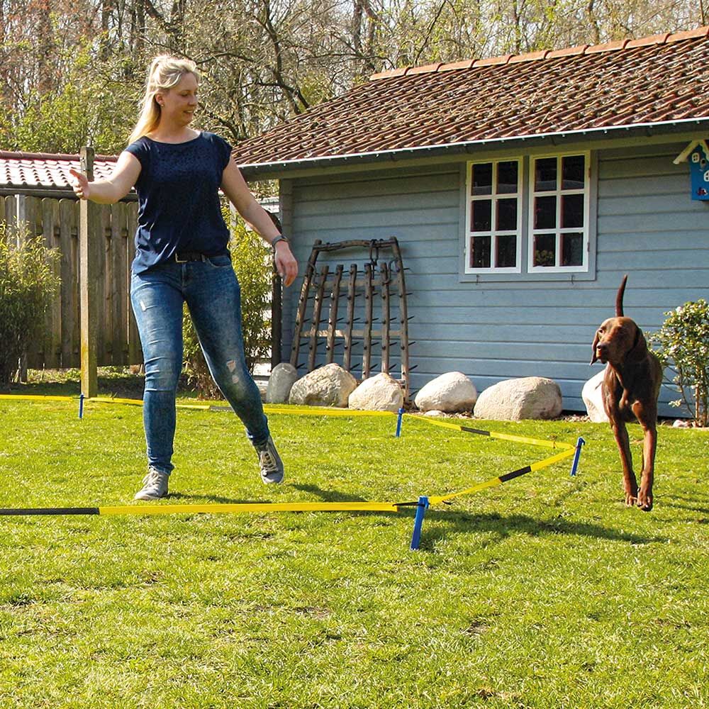 Procyon Longier-Set fr Hunde Bild 5