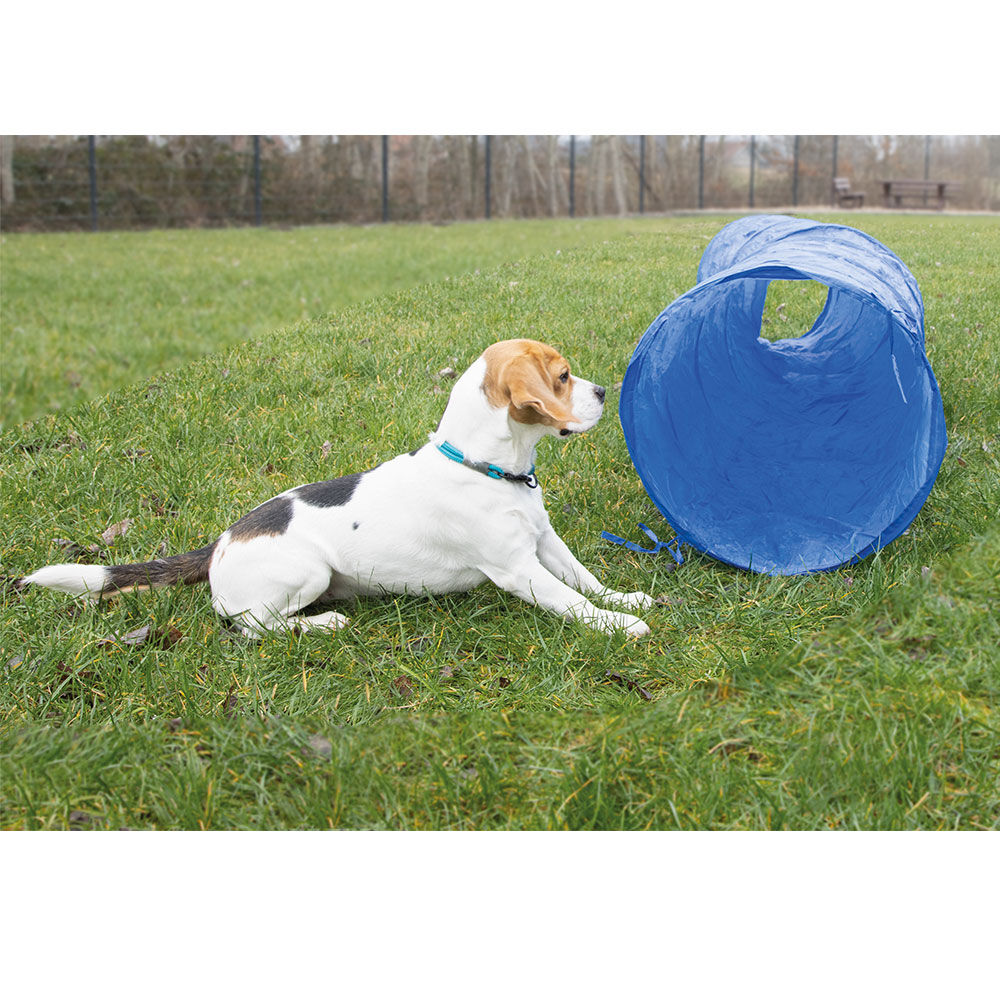 Procyon Agility Tunnel, 300 x 50 cm Bild 3
