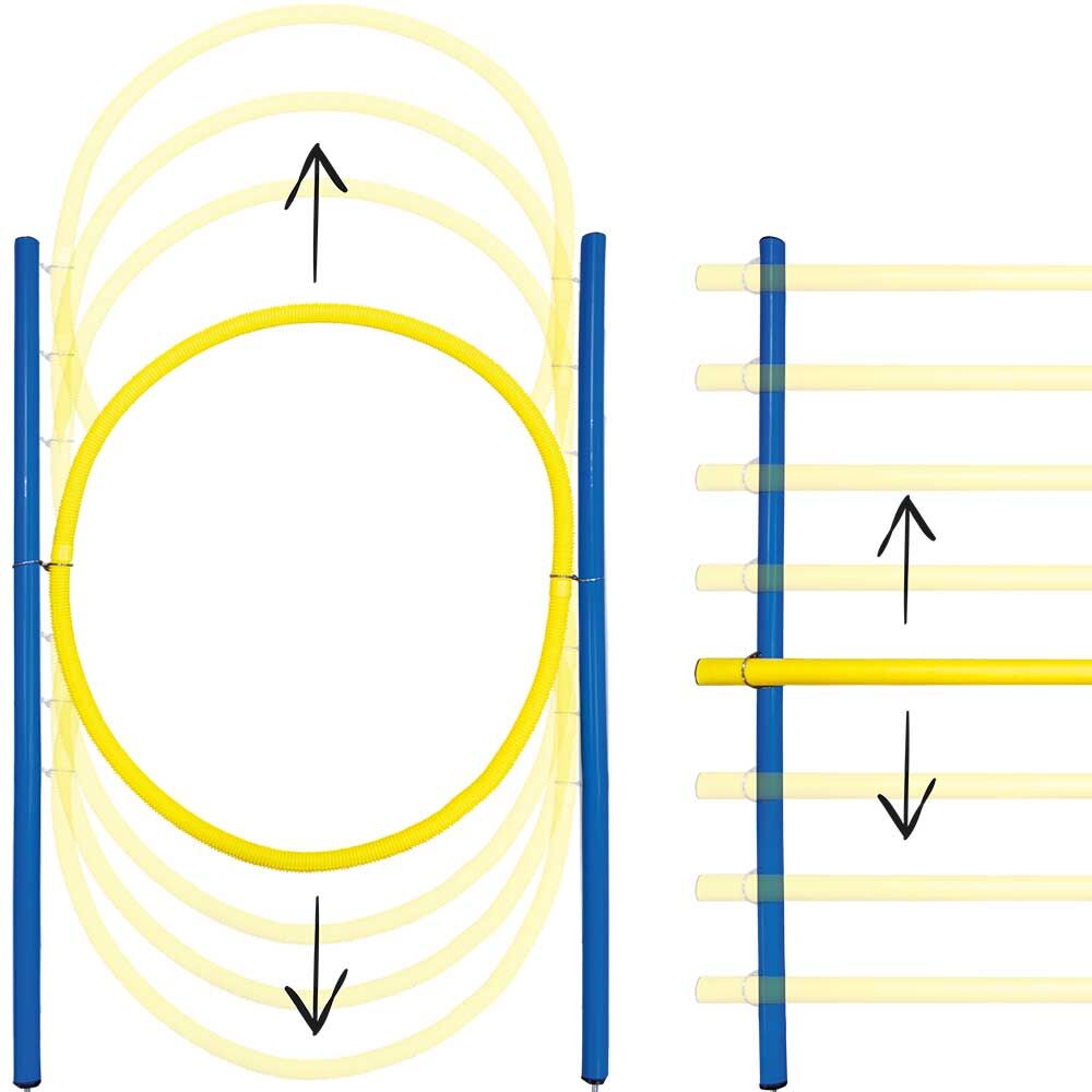 Dog Agility Set S/M Bild 4